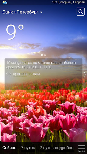 Погода рп5 (2023)