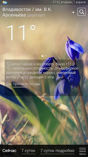 Погода рп5 (2023)