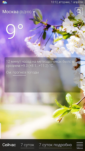 Погода рп5 (2023)